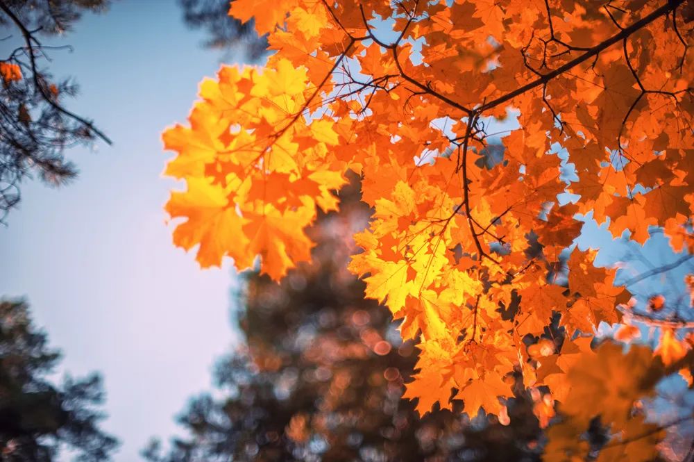 微信圖片_20221015082714.jpg 微信圖片_20221015082714.jpg