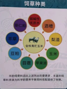 屏幕截圖 2024-12-23 102119.jpg 屏幕截圖 2024-12-23 102119.jpg